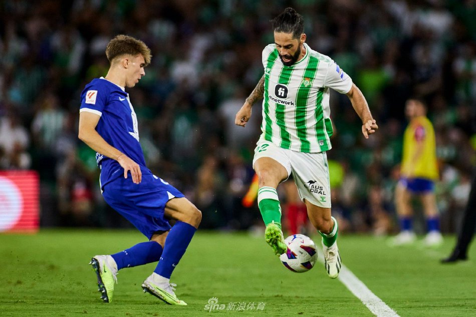 力的基础 力的基础